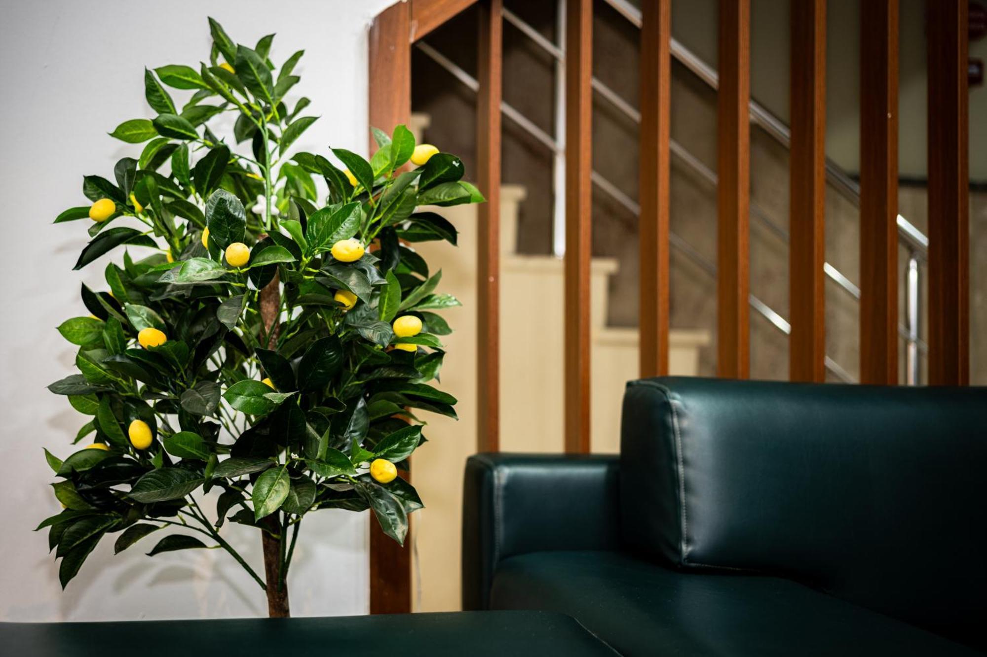 Senyor Garden Hotel Istanbul Bagian luar foto